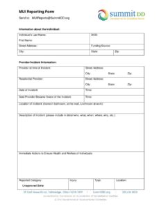 MUI Reporting Form EXTERNAL revised 1-23-19 - Summit County ...