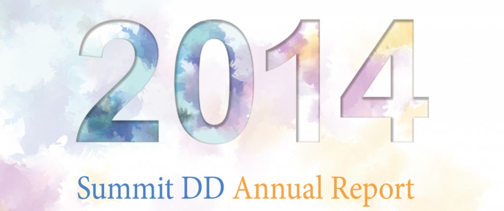 2014 Summit DD Annual Report