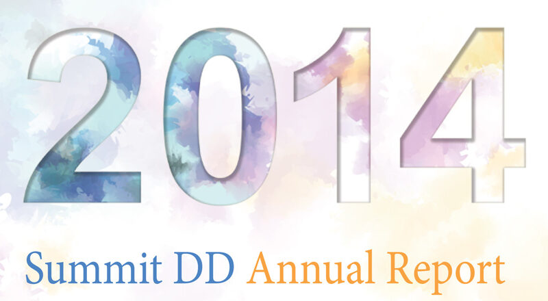 2014 Summit DD Annual Report