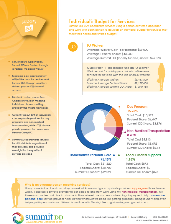 Individual Budget for Services