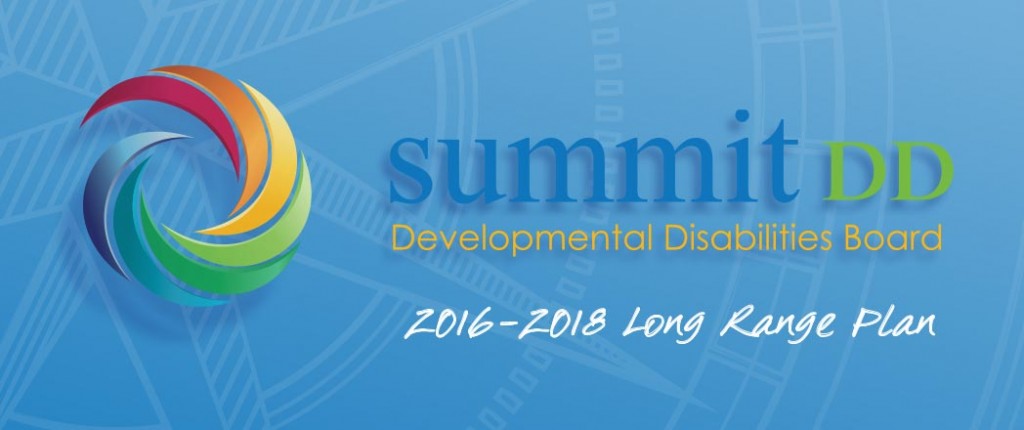 2016-2018 Summit DD Long Range Plan