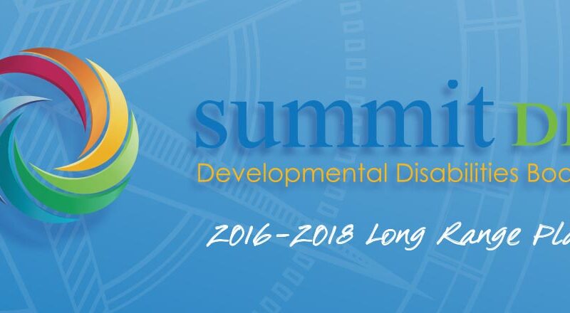 2016-2018 Summit DD Long Range Plan