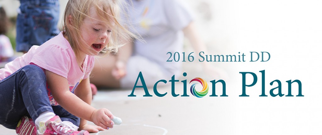 2016 Summit DD Action Plan