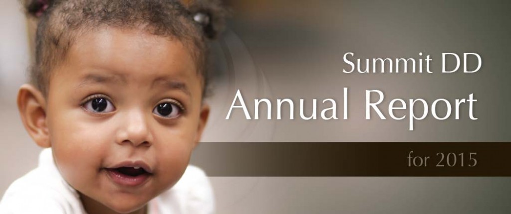 Summit DD 2015 Annual Report