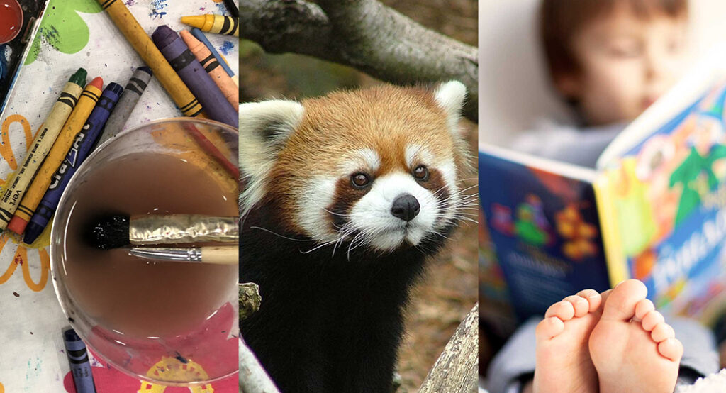 Activity Guide: Spring 2022