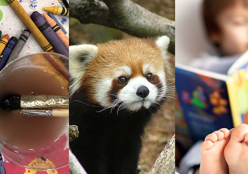 Activity Guide: Spring 2022