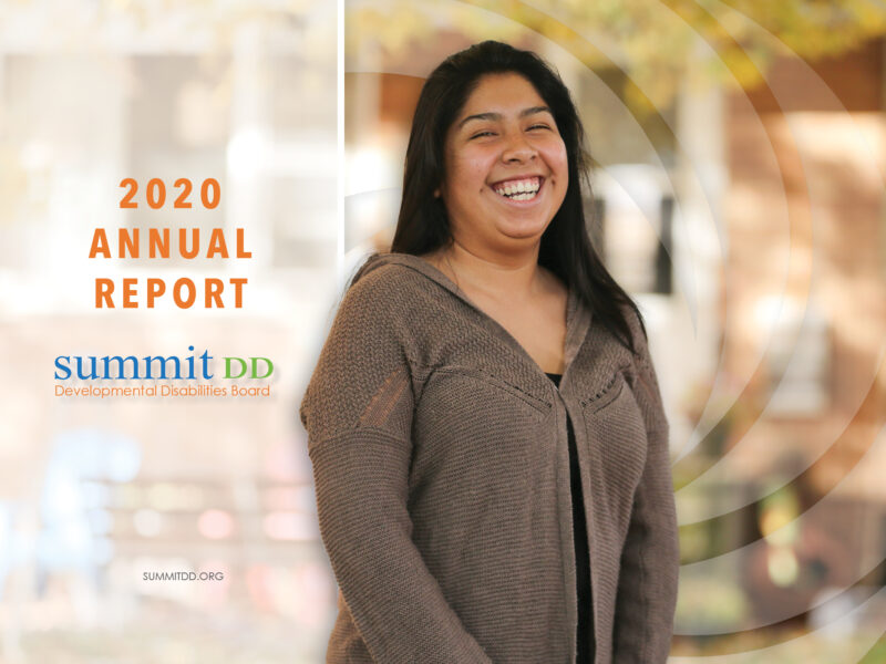 Summit DD 2020 Annual Report