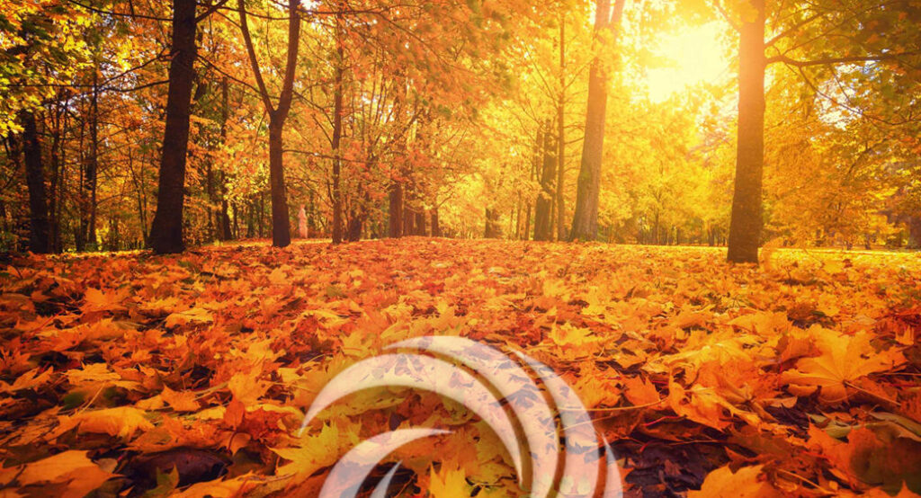 2022 Inclusive Fall Activity Guide