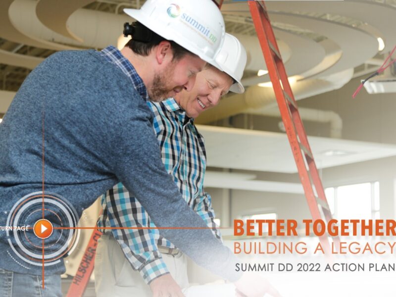 Summit DD 2022 Action Plan