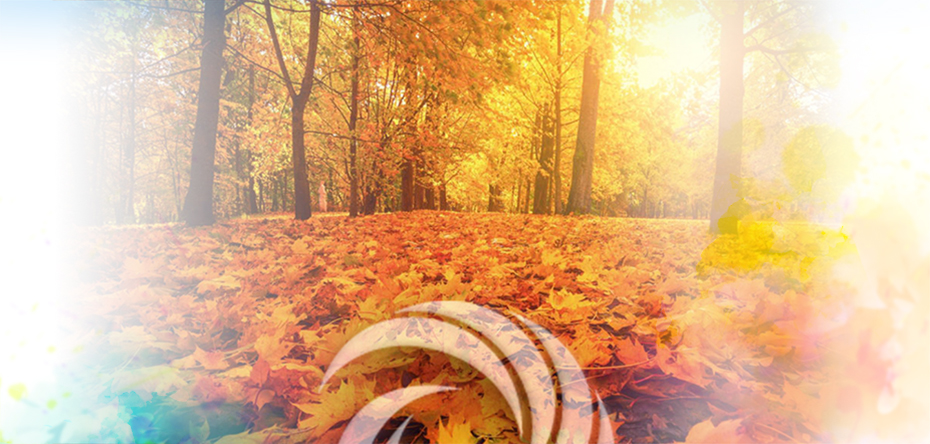 Fall Activity Guide 2022.