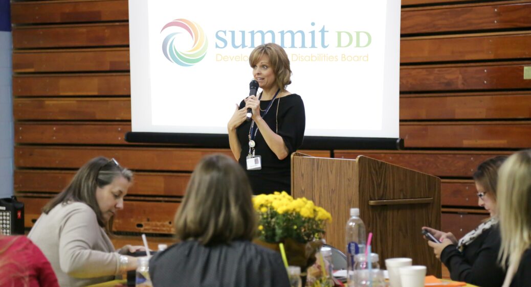 Summit DD staff member presenting to a group