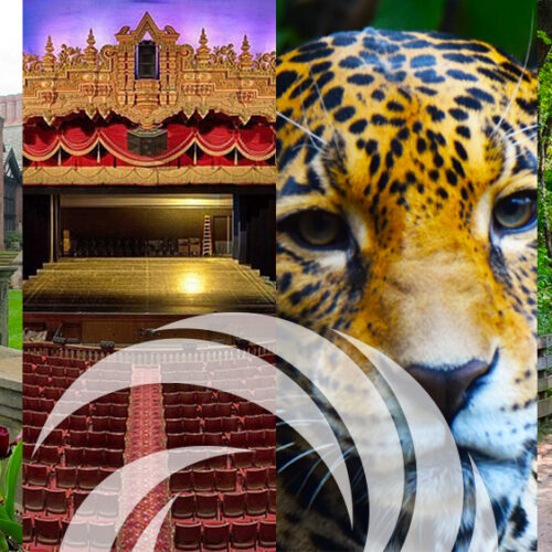 Spring Activity Collage featuring Stan Hywet, Akron Civic, Akron Zoo and Summit Metro Parks.