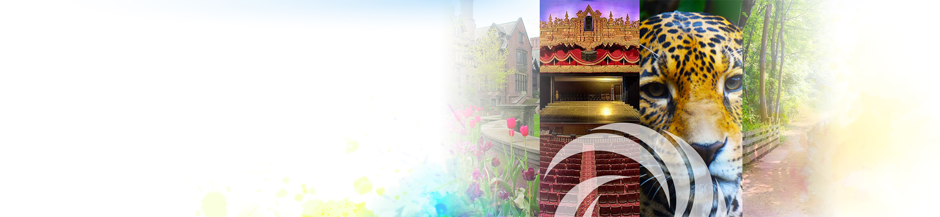 1508-SMDD-website_concept_About_wb_v3