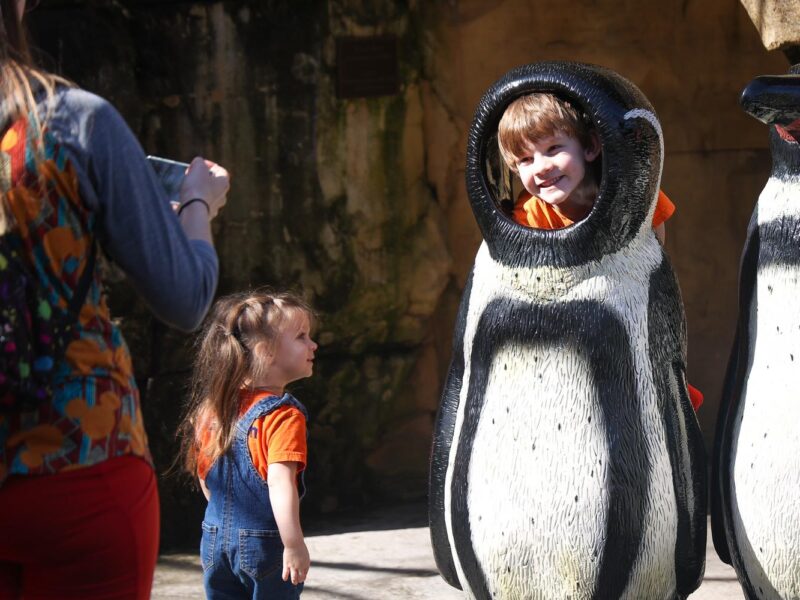 Early Intervention Family Friendly Summer Events