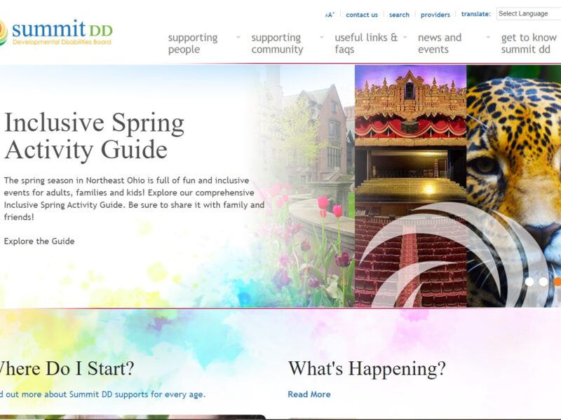 Give us your feedback about Summit DD’s website