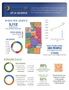 At a Glance Flyer image