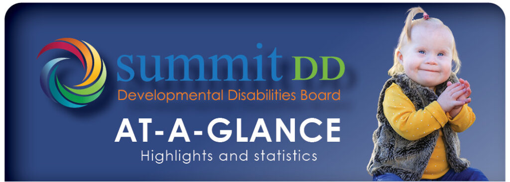 Summit DD At A Glance