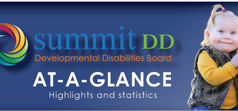 Summit DD At A Glance
