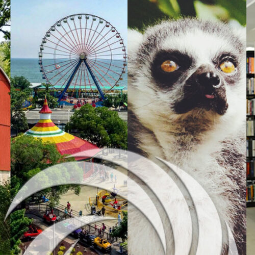 Collage of Summer Activities, including Summit Metro Parks, Cedar Point, Akron Zoo, and Akron Library.