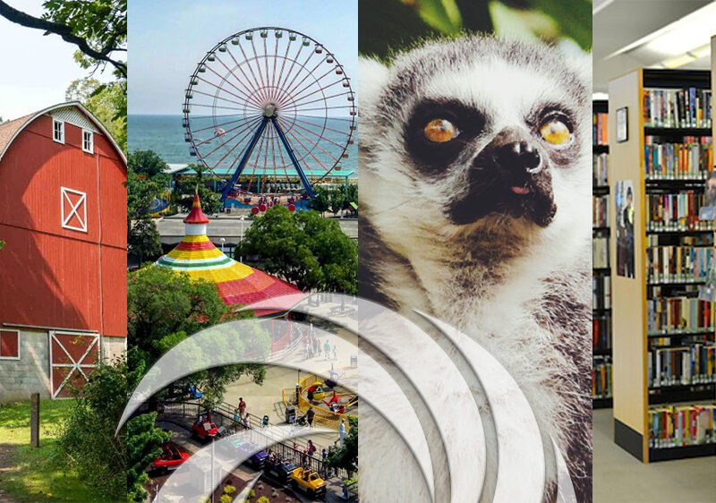 2024 Inclusive Summer Activity Guide