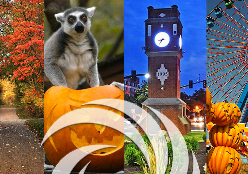 2024 Inclusive Fall Activity Guide