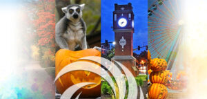 Collage of fall activities, depicting the metro parks, the zoo, cedar point and more.