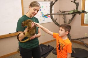 Young boy at Zoo touching animal with long tail being held by zoo employee