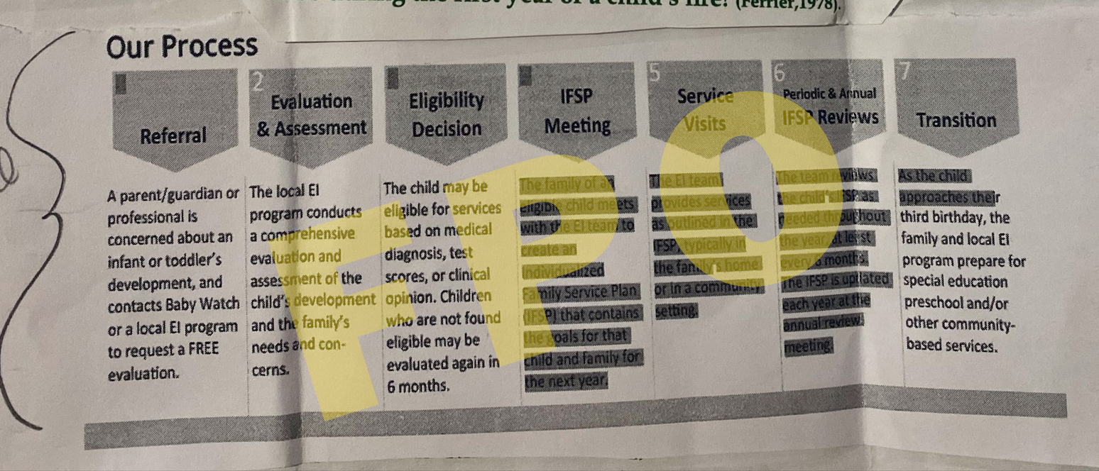 EI Process Graphic only FPO