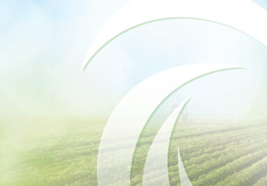 Summit DD logo in front of image of a crop field