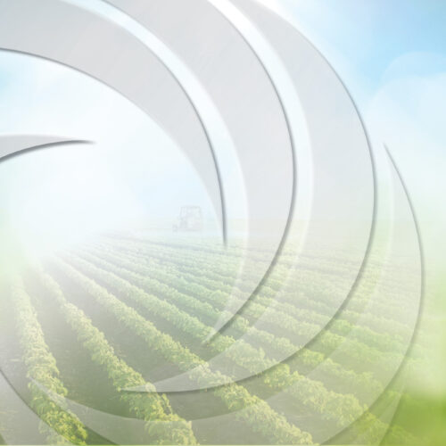 Foodbank Pop Up Pantry: November