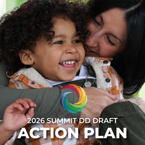 Image of 2026 DRAFT Action Plan showing a mom hugging her toddler son - both with big smiles. The Words: 2026 Summit DD Draft Action Plan are written at the bottom of the page along with the colorful Summit DD icon from the Summit DD logo