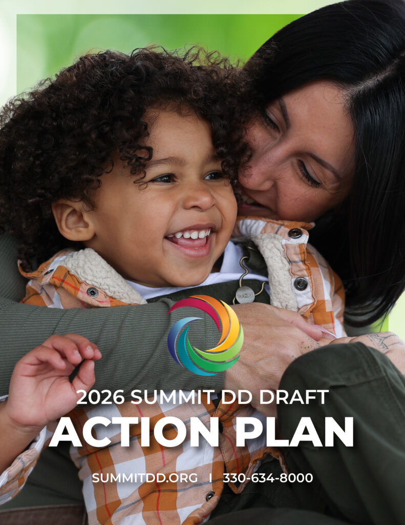 Share Your Thoughts: 2026 Summit DD Action Plan Draft