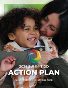 Image of the 2026 Action Plan cover
