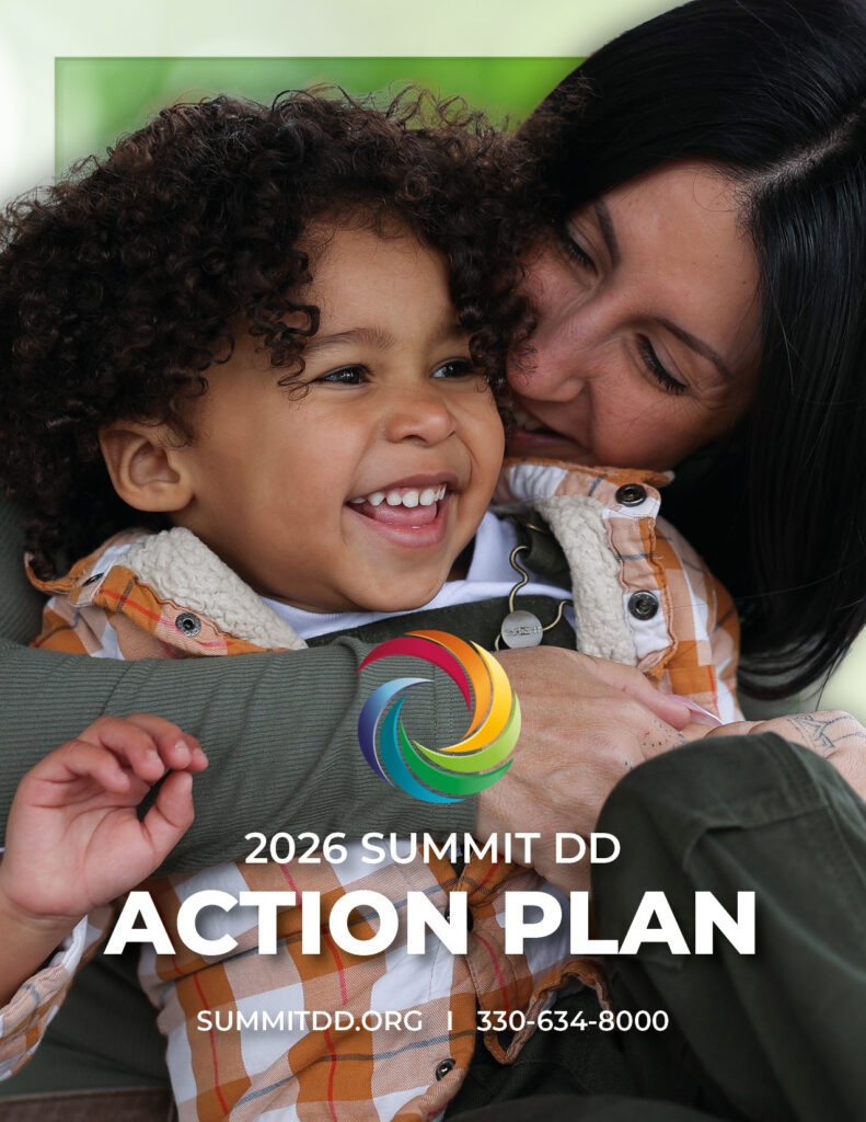2026 Action Plan