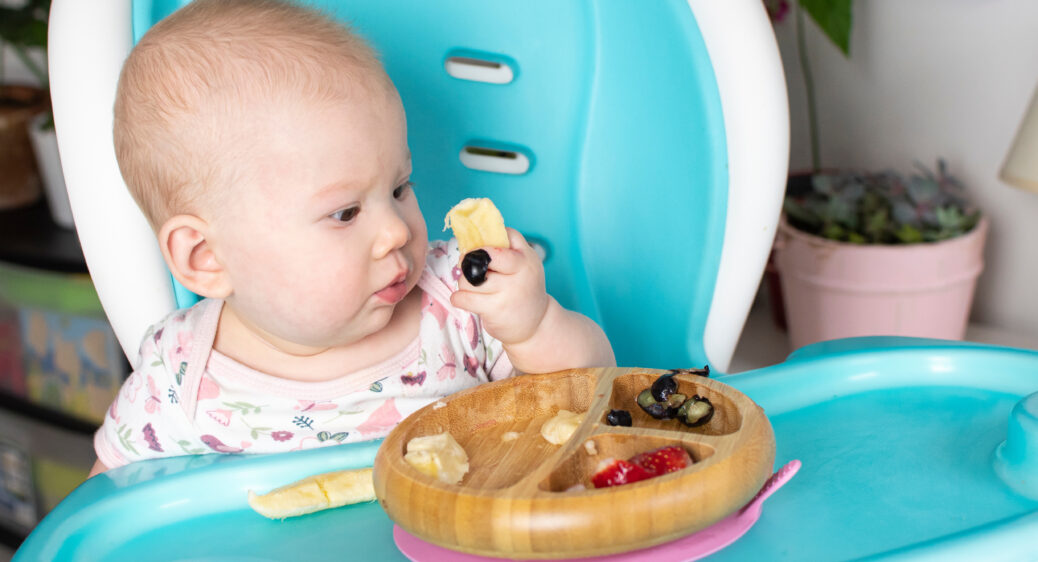 baby in highchair looking curiously at food in their fingers