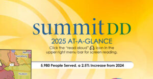 Decorative graphic from 2025 At-A-Glance annual report sheet