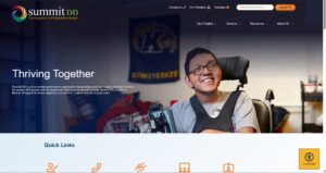 Screenshot from updated SummitDD.org website