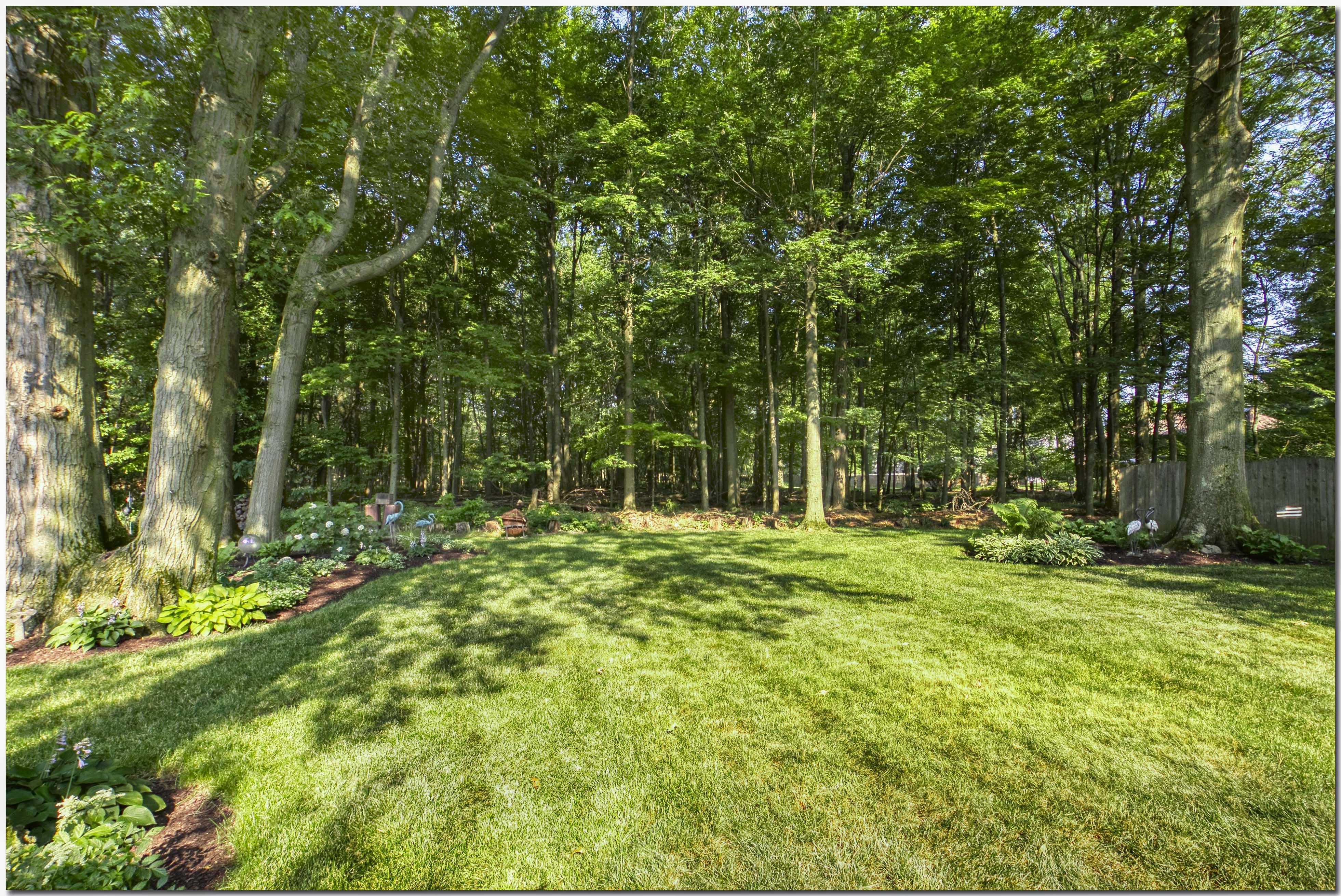 Backyard View The Houston Group