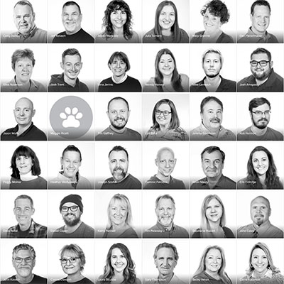 meet-team-home-feature