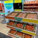 Bellflower Produce at GPFS 2025-2RS2048x1536 Bellflower Produce at GPFS 2025-2RS2048x1536