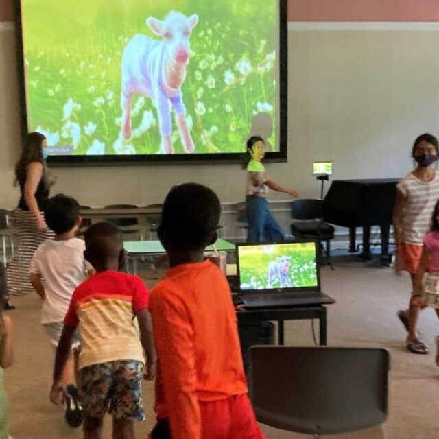 Turtle Dance Music Songs That Count!