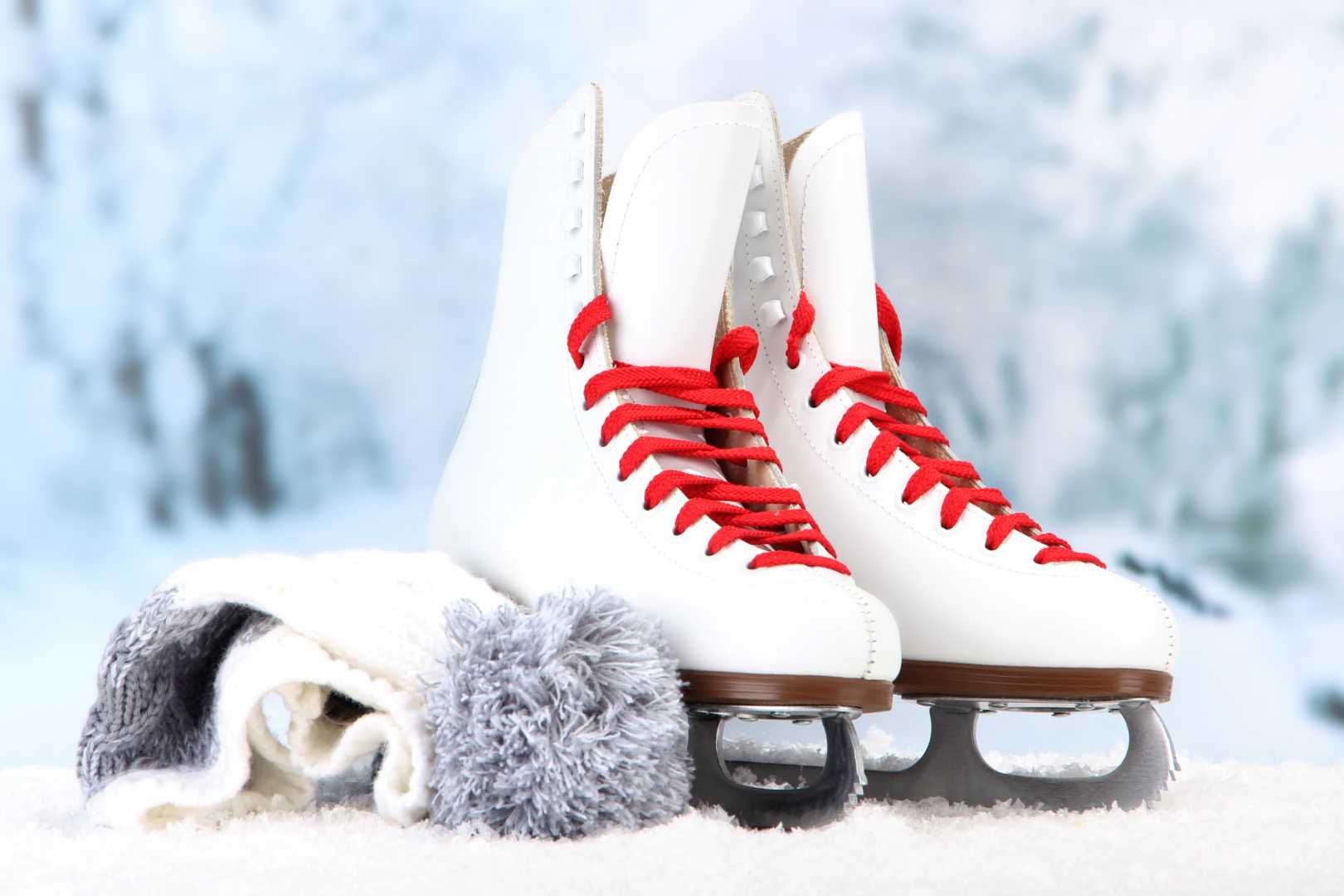 Zerust Skate Guard Covers Key to RustFree Beautiful Blades Zerust