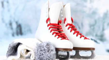 Zerust Skate Guard Covers