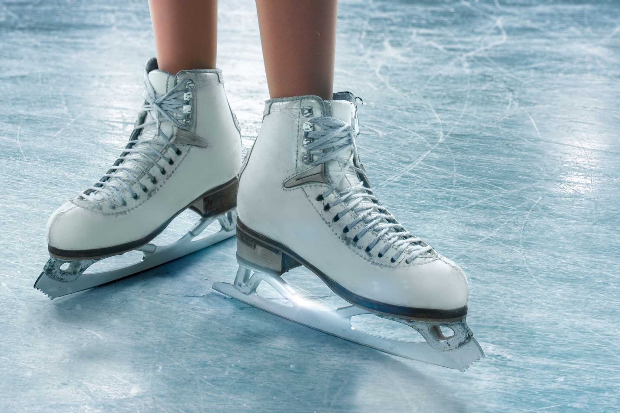 Ice Skate Covers Keep Blades Sharp, RustFree Zerust Rust Prevention