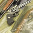 gun storage bag
