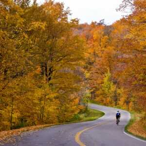 Photo of road with cyclist in the distance and trees with autumn colors