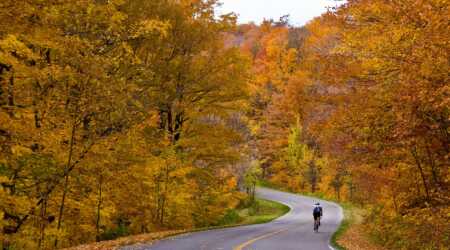 Photo of road with cyclist in the distance and trees with autumn colors