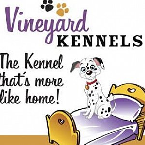 Vineyard kennels Clearance