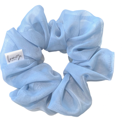 Baby Blue Organza