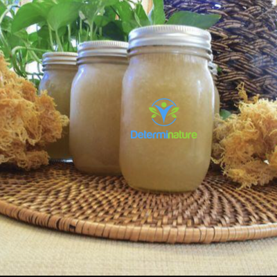 Wildcrafted Sea Moss Gel